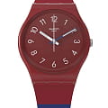 Часы Swatch Gent Biosourced Standard SO28R112