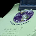 Часы Swatch x Omega Bioceramic Moonswatch Mission on Earth SO33G100 фото 2