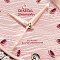 Часы Omega Seamaster Aqua Terra 220.28.34.20.60.001 фото 3
